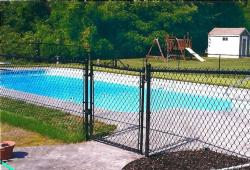 Inspiration Gallery - Pool Fencing - Image: 162