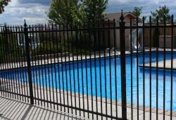 Inspiration Gallery - Pool Fencing - Image: 166