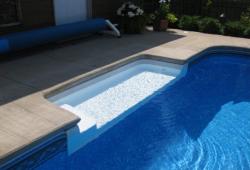 Inspiration Gallery - Pool Tanning Ledges - Image: 195