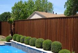 Inspiration Gallery - Pool Fencing - Image: 176