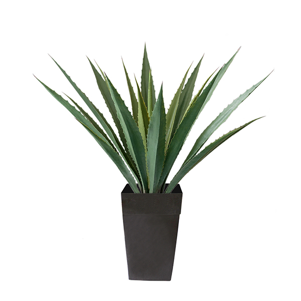 53 X 38ft OUTDOOR AMERICANA AGAVE PLANTER