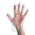 ANSELL DISPOSABLE POLYETHYLENE GLOVES (100PK)